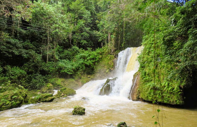 Excursión a Río Negro y Cataratas YS - Foto 5