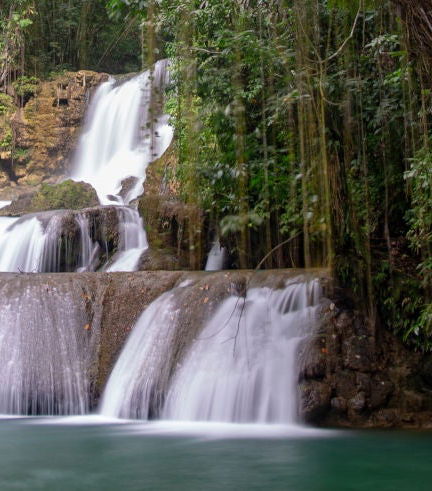 Foto de Excursión a Río Negro y Cataratas YS