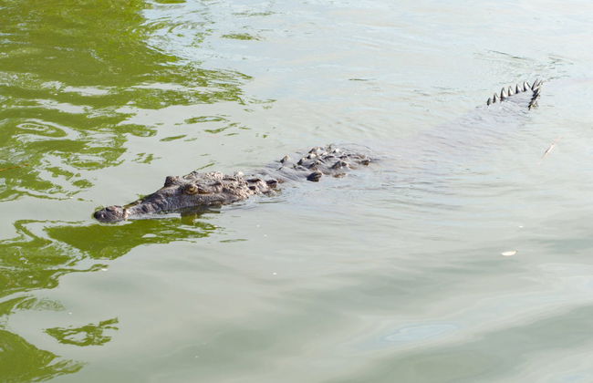 Excursión a Río Negro y Cataratas YS - Foto 3