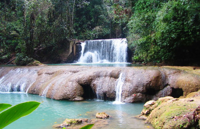 Excursión a Río Negro y Cataratas YS - Foto 2