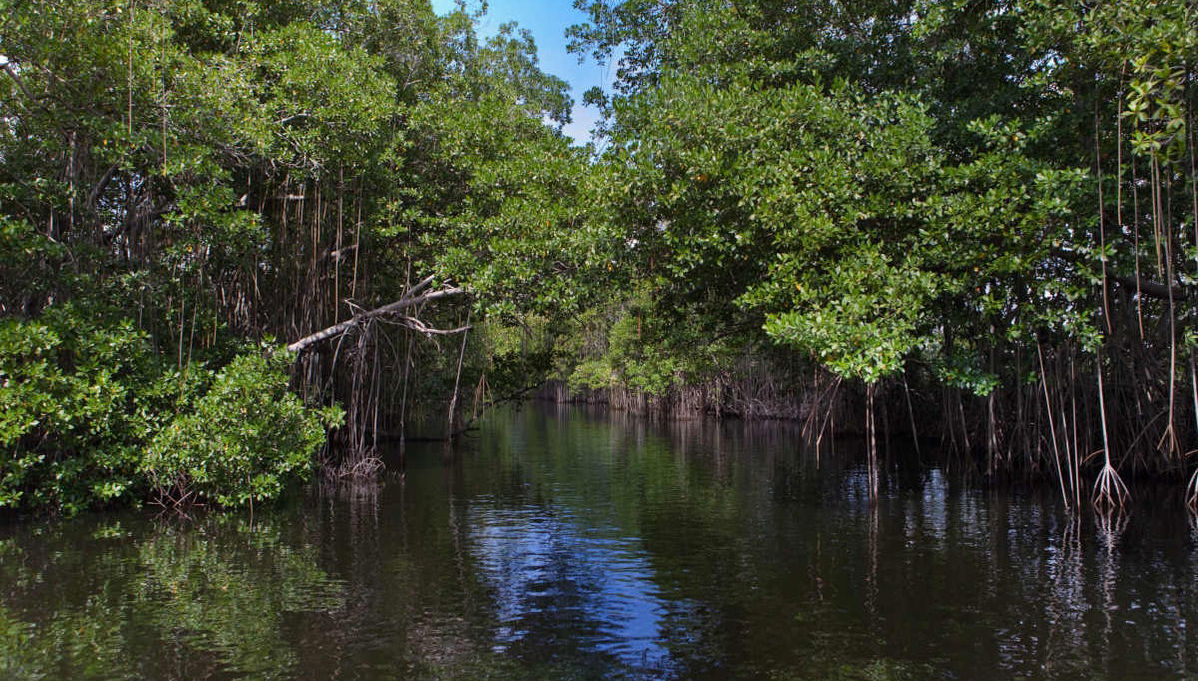 Excursión a Río Negro y Cataratas YS - Foto 1