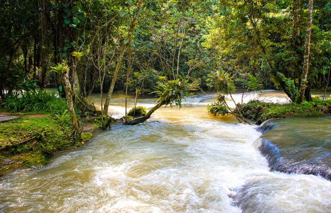 Excursión a las cascadas del río Dunn - Foto 1