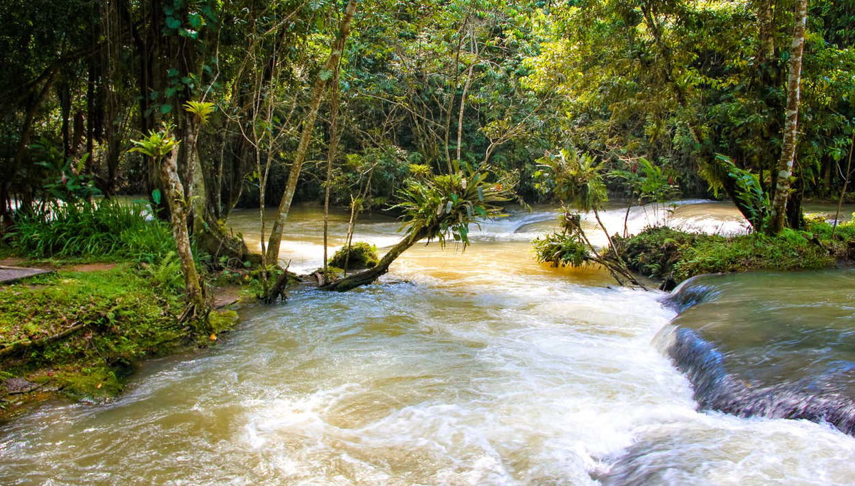 Excursión a las cascadas del río Dunn - Foto 1