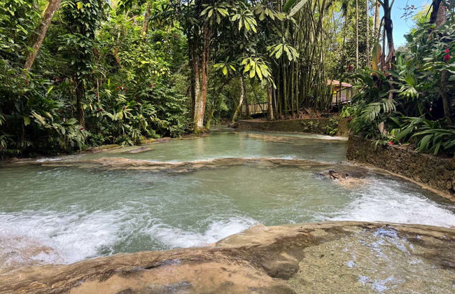 Excursión a las cascadas del río Dunn - Foto 7