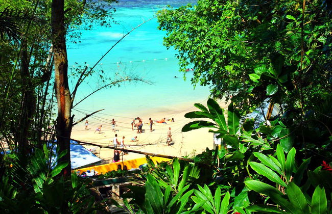 Excursión a las cascadas del río Dunn - Foto 3