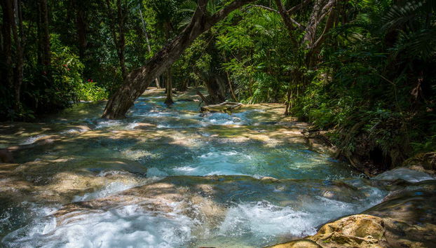 Excursión a las cascadas del río Dunn - Foto 2