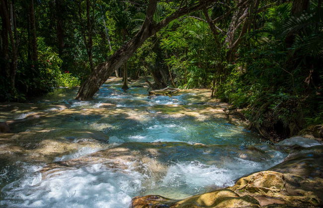 Excursión a las cascadas del río Dunn - Foto 2