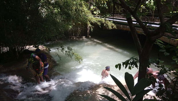 Excursión a las cascadas del río Dunn - Foto 5