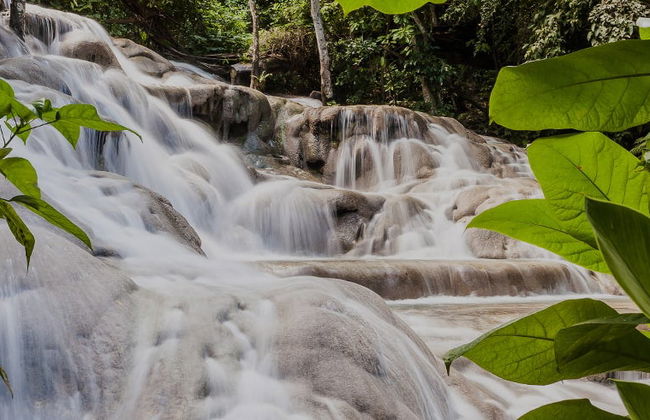 Excursión a las cascadas del río Dunn - Foto 3