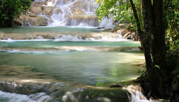 Excursión a las cascadas del río Dunn - Foto 4
