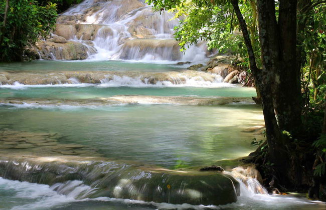 Excursión a las cascadas del río Dunn - Foto 4