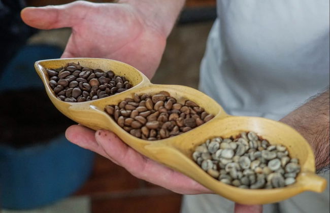 Visite autour du café et du chocolat - Photo 5