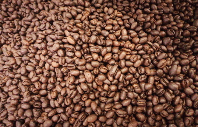 Visite autour du café et du chocolat - Photo 2