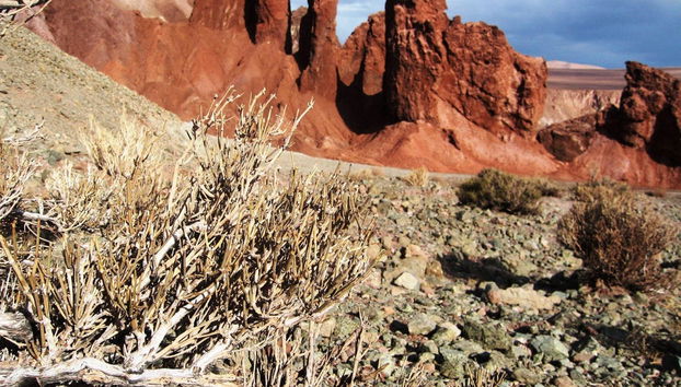 Excursion à la Vallée de l'Arc-en-ciel - Photo 3