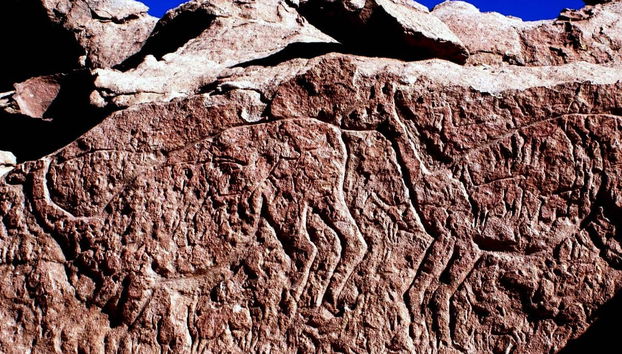 Excursion à la Vallée de l'Arc-en-ciel - Photo 2