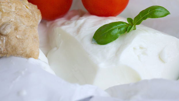 Entrada al Archiginnasio + Degustación en el Mercado del Cuadrilátero - Foto 5