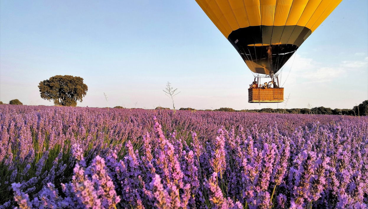 Paseo en globo por los campos de lavanda de Brihuega - Foto 1
