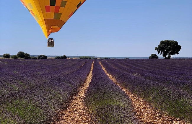 Paseo en globo por los campos de lavanda de Brihuega - Foto 3