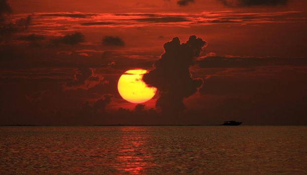 Cena en la playa de Maafushi - Foto 3