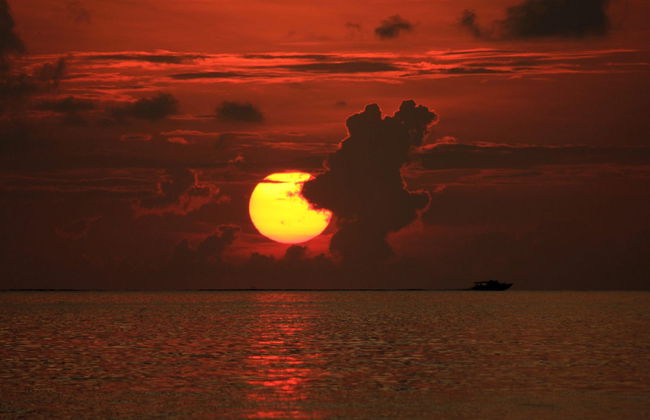 Cena en la playa de Maafushi - Foto 3