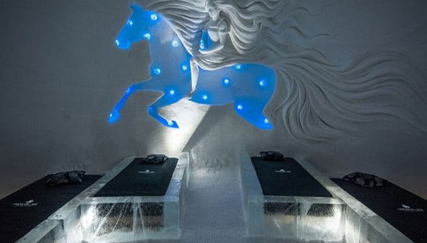 Escursione a Lainio Snow Village in motoslitta - Foto 3