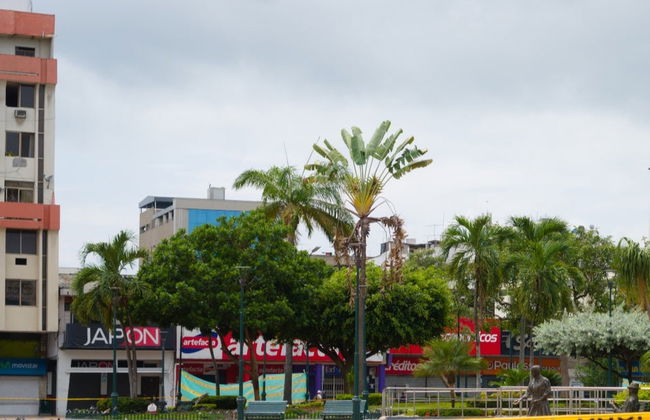 Tour por Machala - Foto 1