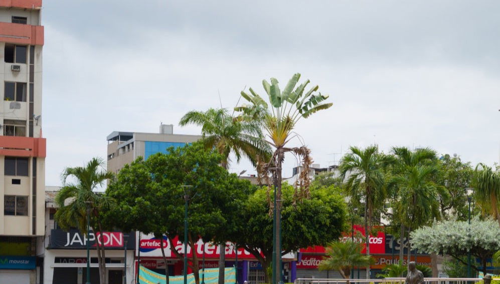 Tour por Machala - Foto 1