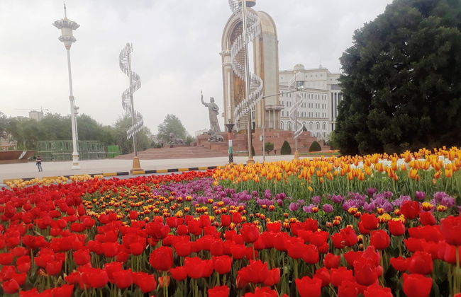 Private Tour of Dushanbe - Photo 7