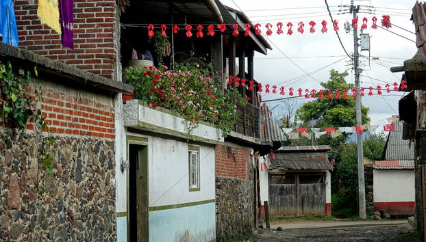 Excursión al volcán Paricutín y Angahuan - Foto 5
