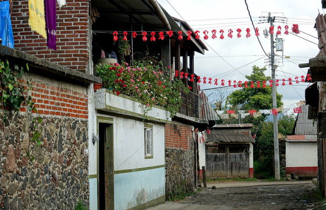 Excursión al volcán Paricutín y Angahuan - Foto 5