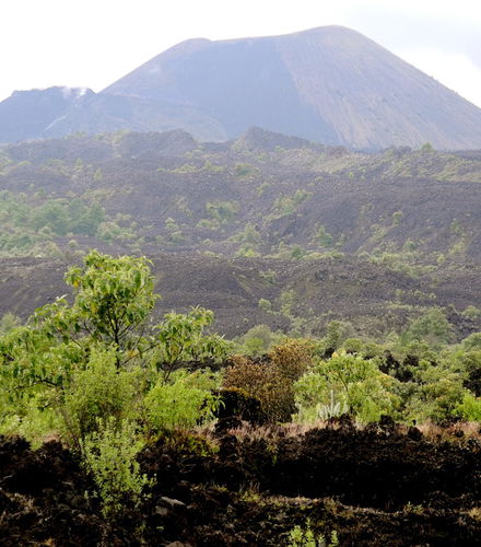 Foto de Excursión al volcán Paricutín y Angahuan