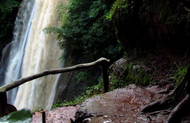 Excursión al valle del Perené y cataratas de Chanchamayo - Foto 5