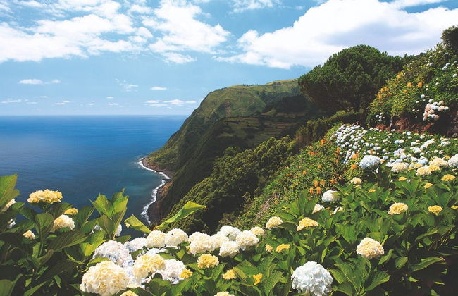 Tour privado por São Miguel - Foto 4