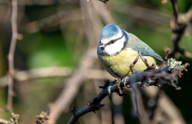 Senderismo por la reserva de Inagua - Foto 4