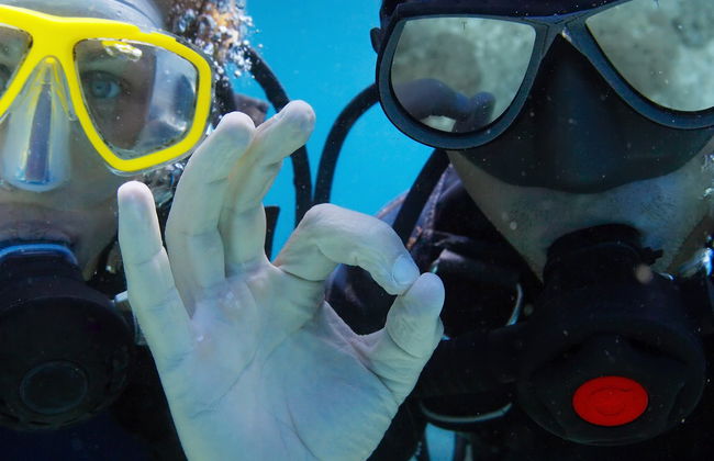 Bautismo de buceo en São Miguel - Foto 3