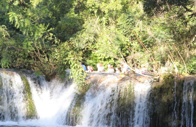 Entrada a Eco Park Porto da Ilha - Foto 6