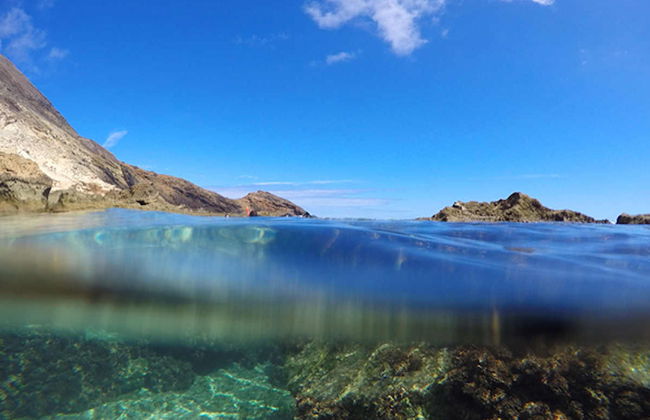 Snorkel en la playa Porto dos Frades - Foto 5