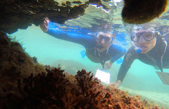Snorkel en la playa Porto dos Frades - Foto 2