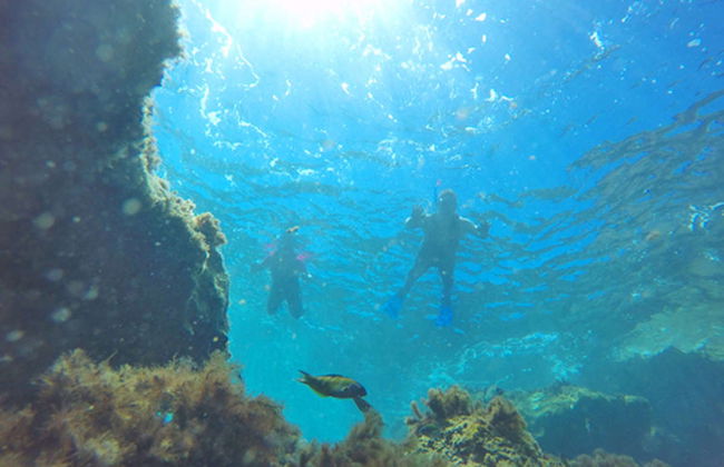 Snorkel en la playa Porto dos Frades - Foto 7