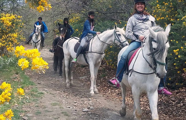 Balade à cheval dans la Alpujarra - Photo 1