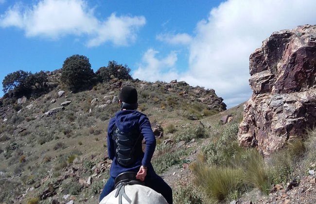 Paseo a caballo por la Alpujarra - Foto 4