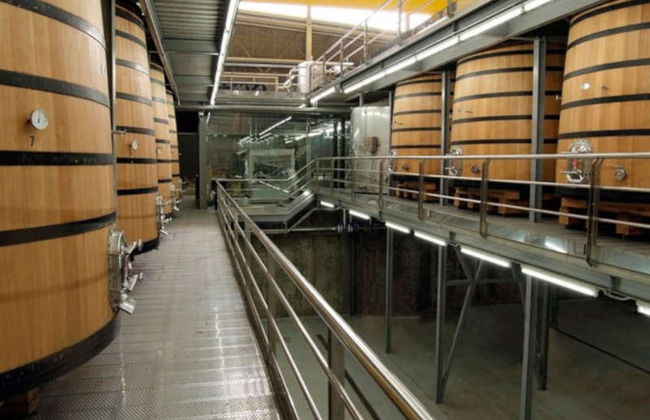 Visita a las bodegas Buezo - Foto 3