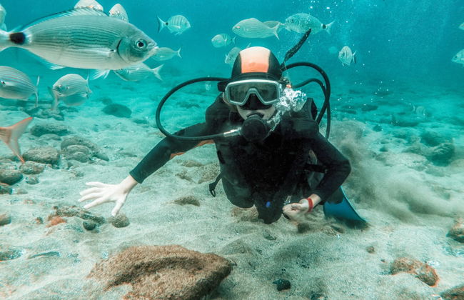 Bautismo de buceo en el Parque Natural de Arrábida - Foto 1