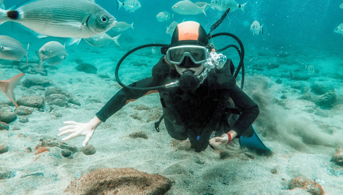 Beginner's Scuba Dive in Arrabida Natural Park - Photo 1