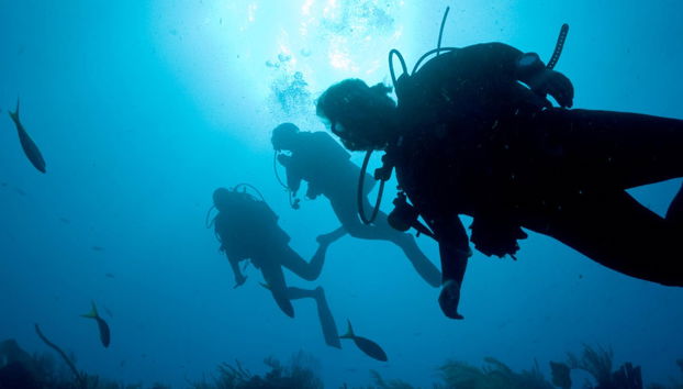Beginner's Scuba Dive in Arrabida Natural Park - Photo 4