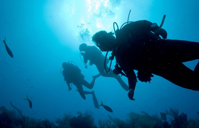 Bautismo de buceo en el Parque Natural de Arrábida - Foto 4