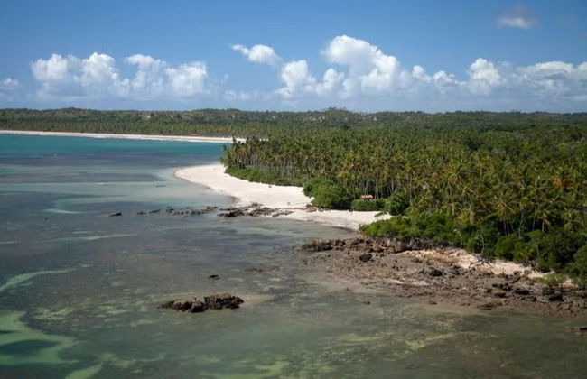 Excursión a la playa Boca de Barra de Boipeba - Foto 2
