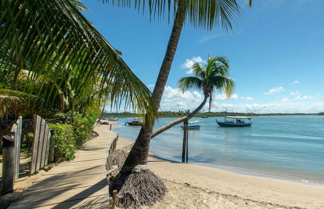 Excursion à la plage Boca da Barra de Boipeba - Photo 6