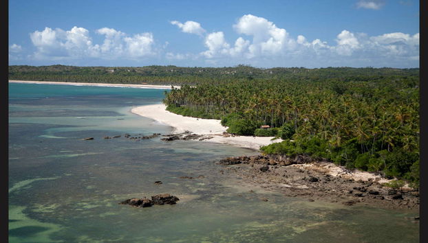 Excursion à la plage Boca da Barra de Boipeba - Photo 2