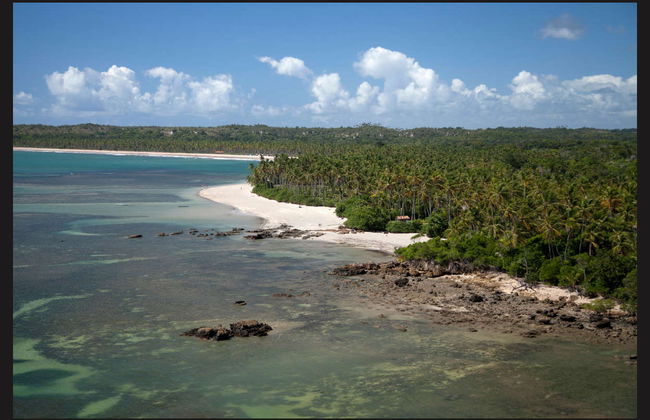 Excursion à la plage Boca da Barra de Boipeba - Photo 2